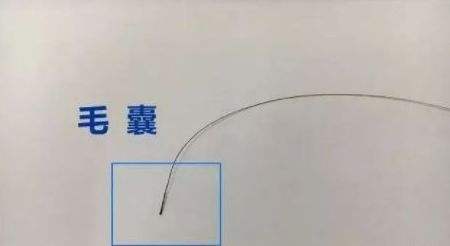 廣州親子鑒定用毛發(fā)鑒定準(zhǔn)嗎